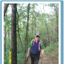 샤브작샤브작 이미지