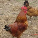 구암농장 이미지