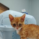 견우동물병원 이미지