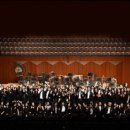 강남-141 이미지