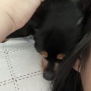 보글보글서선생김치찌개