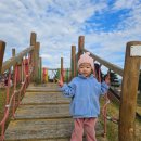 무안황토갯벌랜드(과학관) | 전남아이랑 가볼만한 무안황토갯벌랜드 캠핑장과 생태갯벌과학관