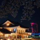 신평동1095 이미지