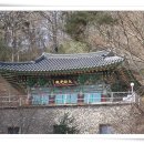 금강그린지하수 | 경주 골굴사(골굴암)