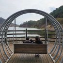 달성군유가면한정보건진료소 | [대구]유가읍 달창저수지 벚꽃 제12회 달창지길 벚꽃축제 , 대구벚꽃축제 , 현풍,텍폴 벚꽃 예쁜곳...