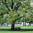 에스제이주유소 이미지