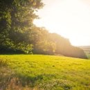 P 당구클럽 이미지