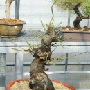 한솔농원 이미지