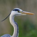 지에스(GS25) 신금호점 이미지