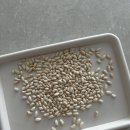 신의도청정한우농장 | [육아템리뷰] 6개월 아기 간식 추천〰️유기농으로 만든 과자(질마재✨내돈내산 후기)