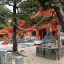 宮 | [후쿠오카] 도심 속 숨은 단풍 명소 🍁 니시진 / 후지사키 모미지 하치만구(紅葉八幡宮)방문 후기!