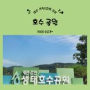 호수공원 육교앞 2주차장쪽 | 대전 새 명소 갑천호수공원 북측 남측코스 - 아이와 가족 나들이 추천