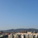 아지나라 이미지