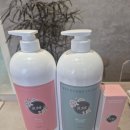 축복 펫살롱 이미지