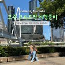 돌고래 보조풀장 | [공지] 호주 브리즈번 여행 3월 4월 날씨 기온 옷차림 투어 추천