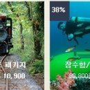 돈돈이네