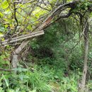 남원주중학교 이미지