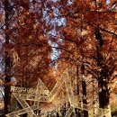 가을하늘 이미지