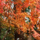 금강공원2 이미지