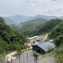 칠현로 | 단양 도담캠핑장 솔캠 후기 🌲 / 캠린이의 우중캠핑 / 원터치텐트로 살아남기