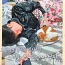 은영농장 이미지