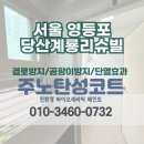 계룡리슈빌A | 서울 탄성코트 영등포 당산계룡리슈빌 베란다 곰팡이 방지는 친환경 페인트로 해결