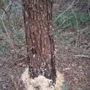 공간부춘 이미지