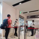 대마도 당일치기 패키지여행 ④ - 부산으로 돌아오기 &amp; 히타가츠 여행 후기