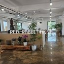 수달1985 이미지