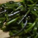 신지운 카카오 검색결과