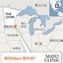 (주)성지메디칼 조선일보