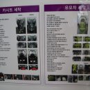 크린팩토리옥길점 이미지