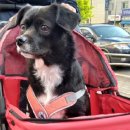 팜스원마트 이미지