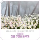 덕사리구절초마을 | 2025 전국 구절초 명소 TOP 3 — 가을꽃 여행 추천 코스