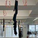 무브먼트 피트니스 | 성신여대역 번지피트니스 추천 – 더센트럴무브먼트 체험 후기