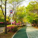 궁내중학교 이미지