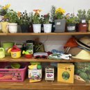 신영유치원 이미지