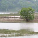 수덕사 야영장 이미지