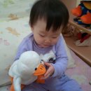 다온오리 이미지