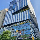 레푸스 화정점 이미지