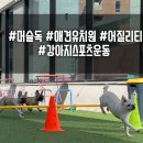 머슬독 이미지