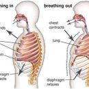 옵티멀 무브 이미지