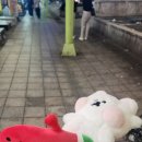 동천인형뽑기 이미지