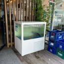 금화초밥 이미지