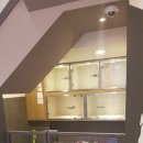 마곡나무 동물병원 이미지