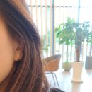 예쁘다 개 이미지