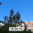경동제일한의원 네이버블로그