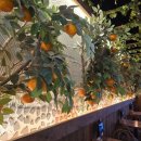 한라맥주 구리돌다리점 이미지