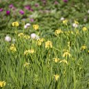 영천시화북면보건지소 이미지