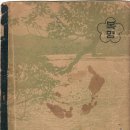 대구복명초등학교 이미지